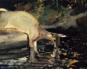 温斯洛 荷默 : Deer Drinking